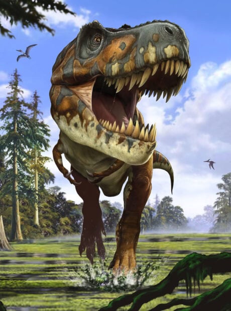 A fierce Tyrannosaurus Rex running through a prehistoric swamp with trees and flying pterosaurs in the background