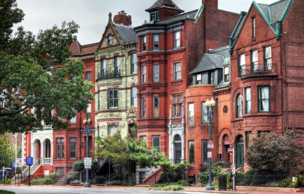 Historic Washington Dc buildings with green trees along the street in autumn