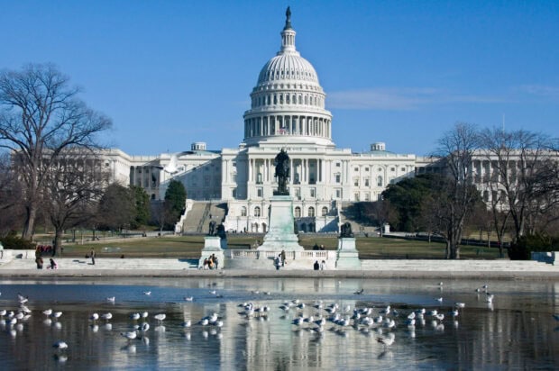 The Capitol building in Washington Dc with a statue and birds on a reflecting pool