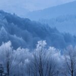 Winter Background iPhone