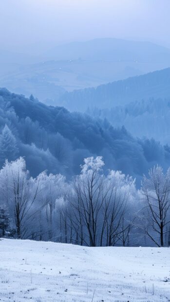 Frosty trees covered with snow in a serene winter landscape with distant hills