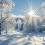 Winter Background iPhone