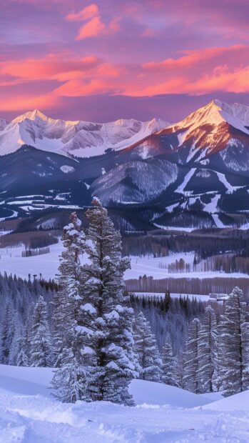 Snow covered trees with mountain range at sunset in winter scenery