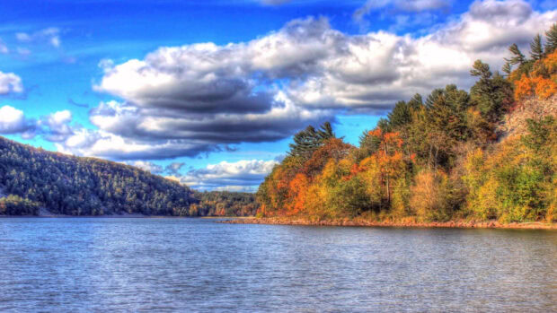 Colorful Wisconsin forest with autumn leaves beside a calm lake under a cloudy sky
