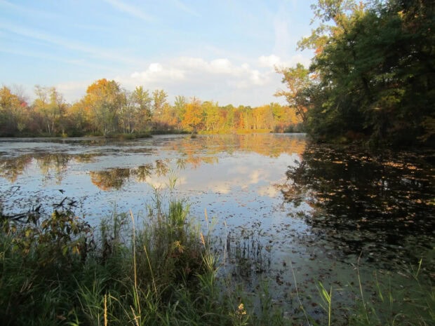 Autumn forest and lake scenery in Wisconsin reflecting clear sky and colorful trees