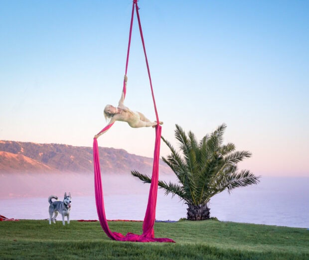 Woman performing aerial silks on red fabric outdoors near a palm tree and dog on grass