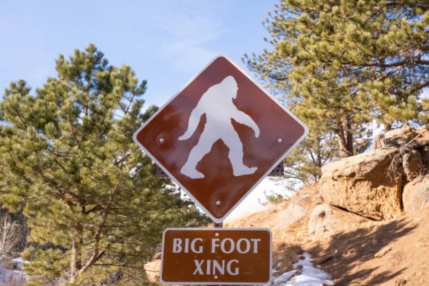 A Bigfoot crossing sign is displayed in a forested area with pine trees and rocky terrain
