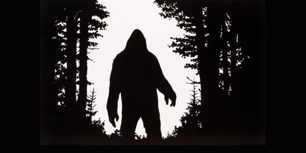 Silhouette of Bigfoot creature standing in forest clearing surrounded by tall trees