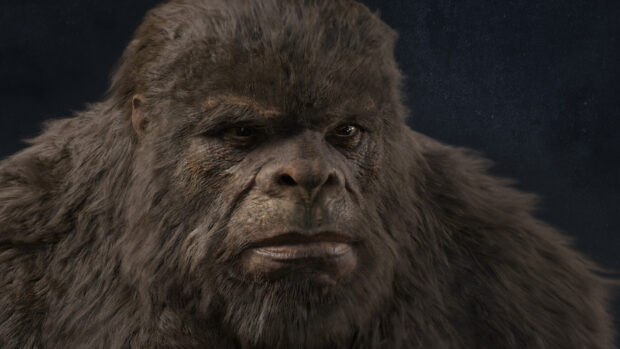 A close up of a Bigfoot creature's face showing detailed fur and facial features