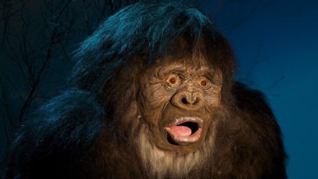 A close up of Bigfoot creature with shocked expression and detailed fur in the dark forest