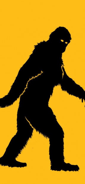 Silhouette of Bigfoot walking against a bright yellow background