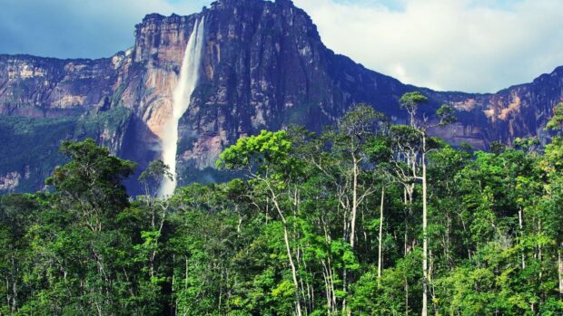 Lush greenery with towering cliffs in Canaima National Park