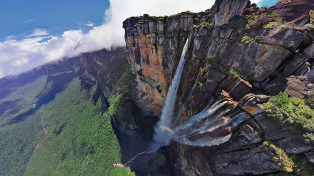A stunning view of Canaima cliff and waterfall surrounded by lush green forest