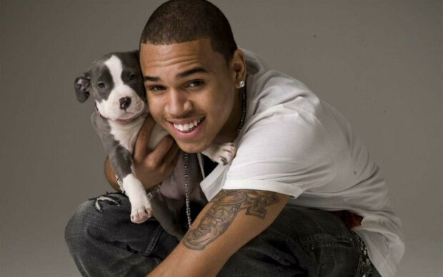 Chris Brown holding a puppy with a tattoo on his arm in a casual outfit