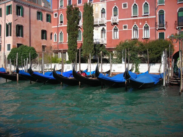 Seven gondola boats docked by the waterfront near buildings and greenery in Venice