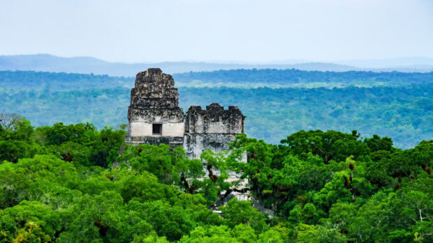 Guatemala Wallpapers 2K Desktop Ancient Mayan ruins surrounded by dense Guatemala forest in the distance