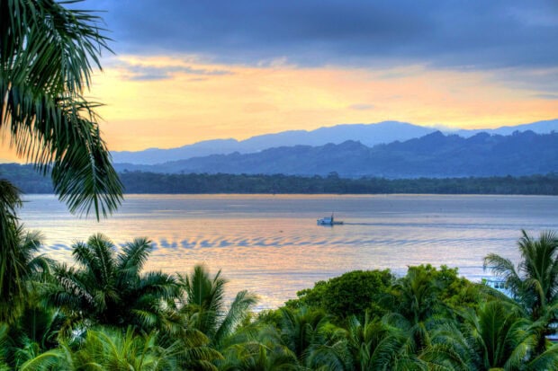 A serene view of Guatemala lush vegetation and distant mountains at sunset
