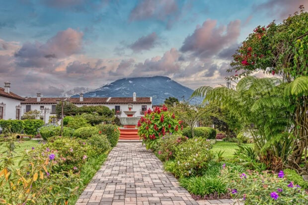 Beautiful garden path with vibrant flowers and a mountain in Guatemala