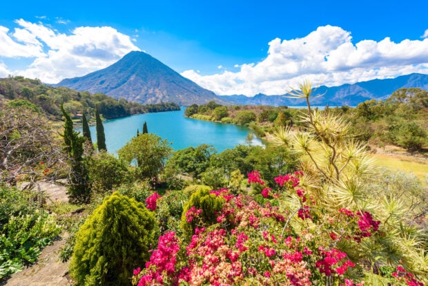 Lush vegetation surrounding a lake with a volcano in Guatemala landscape