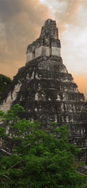Ancient Mayan temple ruins hidden among lush green trees in Guatemala