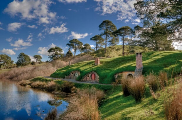 Hobbiton houses built into green hills with trees and a reflective pond under a blue sky