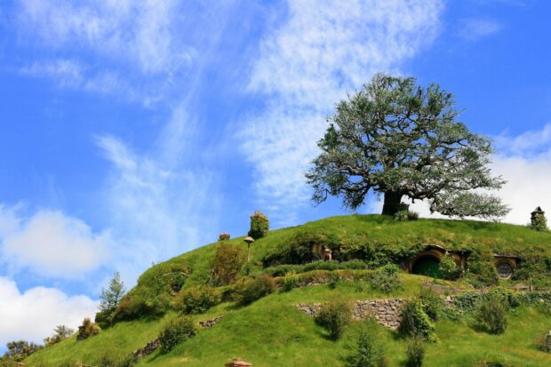 A peaceful hobbiton scene with a large tree on a green hill under a bright blue sky