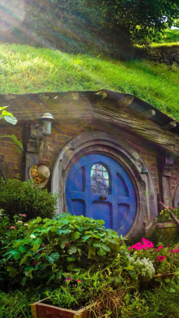 A charming Hobbiton house entrance with a round blue door surrounded by lush greenery and flowers