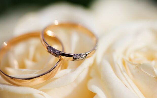 Close up of wedding rings with jewels on white rose petals