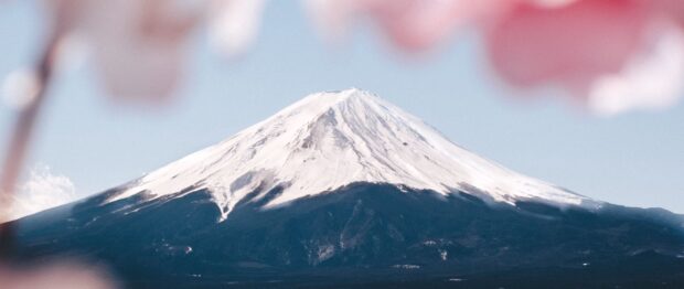 Snow capped Mount Fuji Japan with pink cherry blossoms in foreground