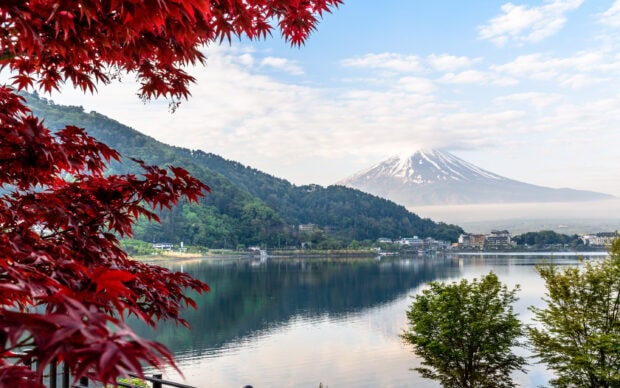 Snow capped Mount Fuji Japan behind lake and red maple leaves