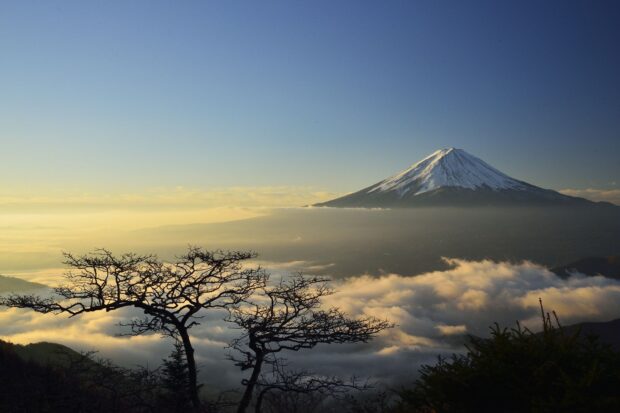 Snow capped Mount Fuji Japan with tree silhouette and clouds below in a clear sky