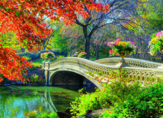 A park with a decorative bridge over a calm pond surrounded by colorful trees and greenery