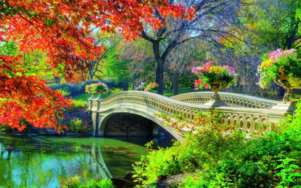 A park with a decorative bridge over a calm pond surrounded by colorful trees and greenery