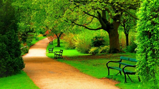 A peaceful park path lined with benches and lush green trees in vibrant spring colors