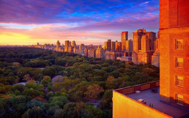 A vibrant sunset over a green park surrounded by city buildings with colorful sky