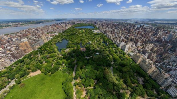 Aerial view of Central Park with green trees and city buildings surrounding the park in New York City