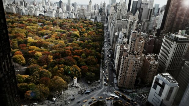 Aerial view of park with colorful trees and city buildings in autumn season