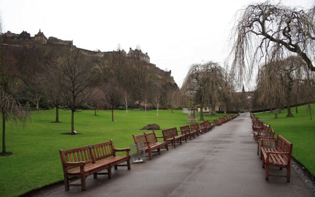 Empty park benches lining a paved pathway surrounded by green grass and leafless trees in an urban park