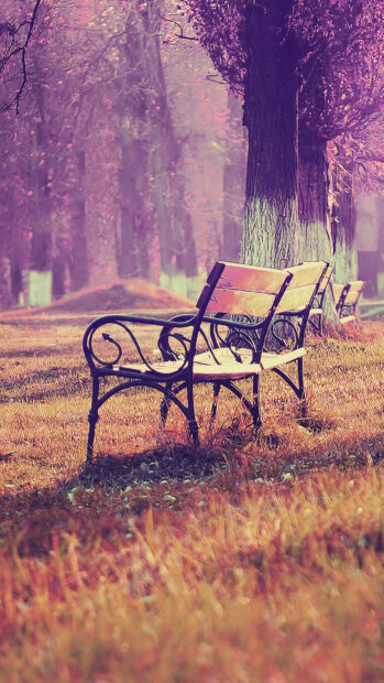 Park Wallpapers HD Mobile A wooden bench in a park surrounded by autumn grass and trees with purple hues