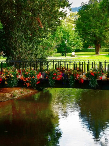 A colorful garden bridge over calm water in a peaceful park setting