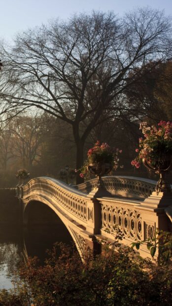 Ornate bridge with flowers in a serene park setting during autumn