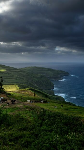 Dramatic coastal landscape in Portugal with green fields under dark clouds