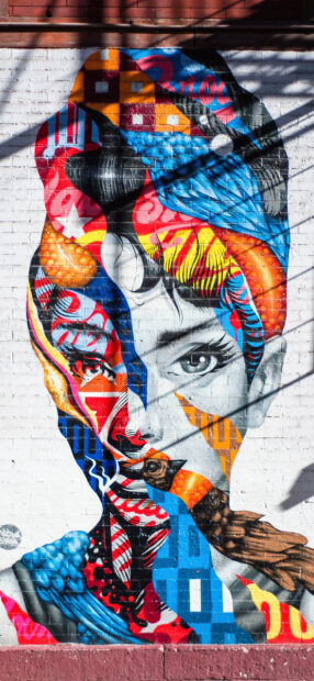 Colorful street art featuring a woman's face with vibrant patterns and a bird on a brick wall