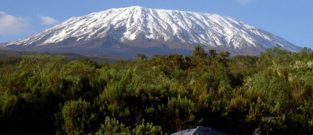Snow capped mountain in Tanzania with lush green forest in the foreground