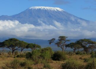Snow capped peak of Tanzania scenic landscape with acacia trees and clear blue sky