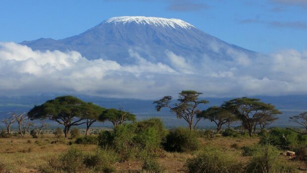 Snow capped peak of Tanzania scenic landscape with acacia trees and clear blue sky