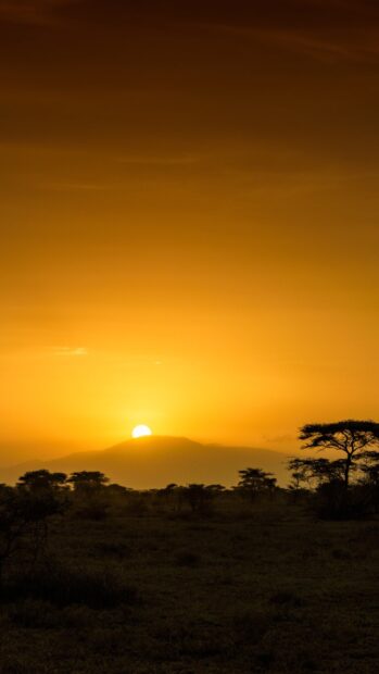 Sunrise over Tanzania savannah with acacia trees and mountain silhouette