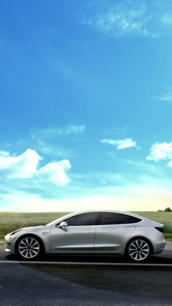 Silver Tesla Model Y standing on road under blue sky with green field in background