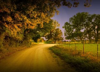 A dirt road winding through Texas Hill Country with trees and a fence along the path
