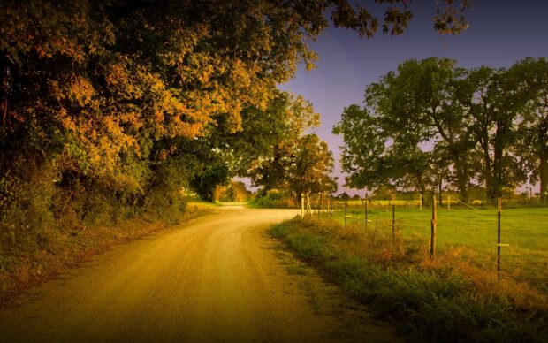 A dirt road winding through Texas Hill Country with trees and a fence along the path